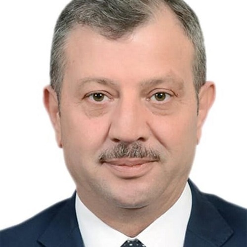 أحمد حسني
