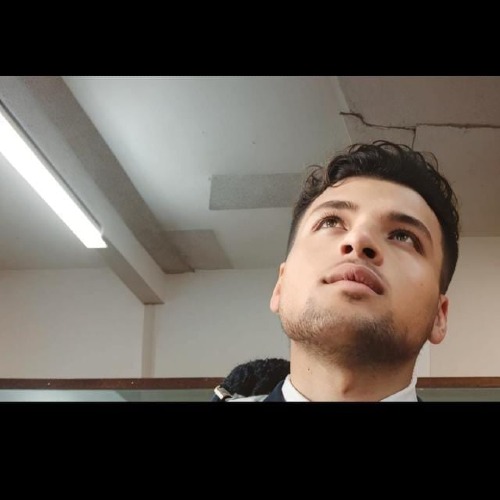 محمود الزواوى