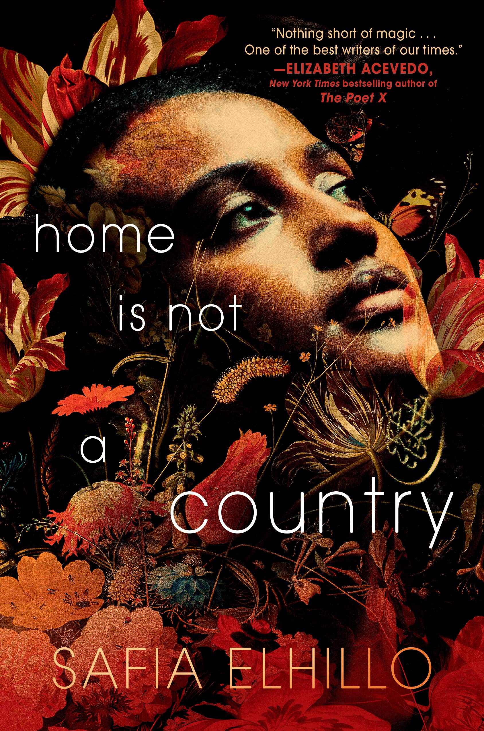 Home Is Not a Country - Free PDF Download