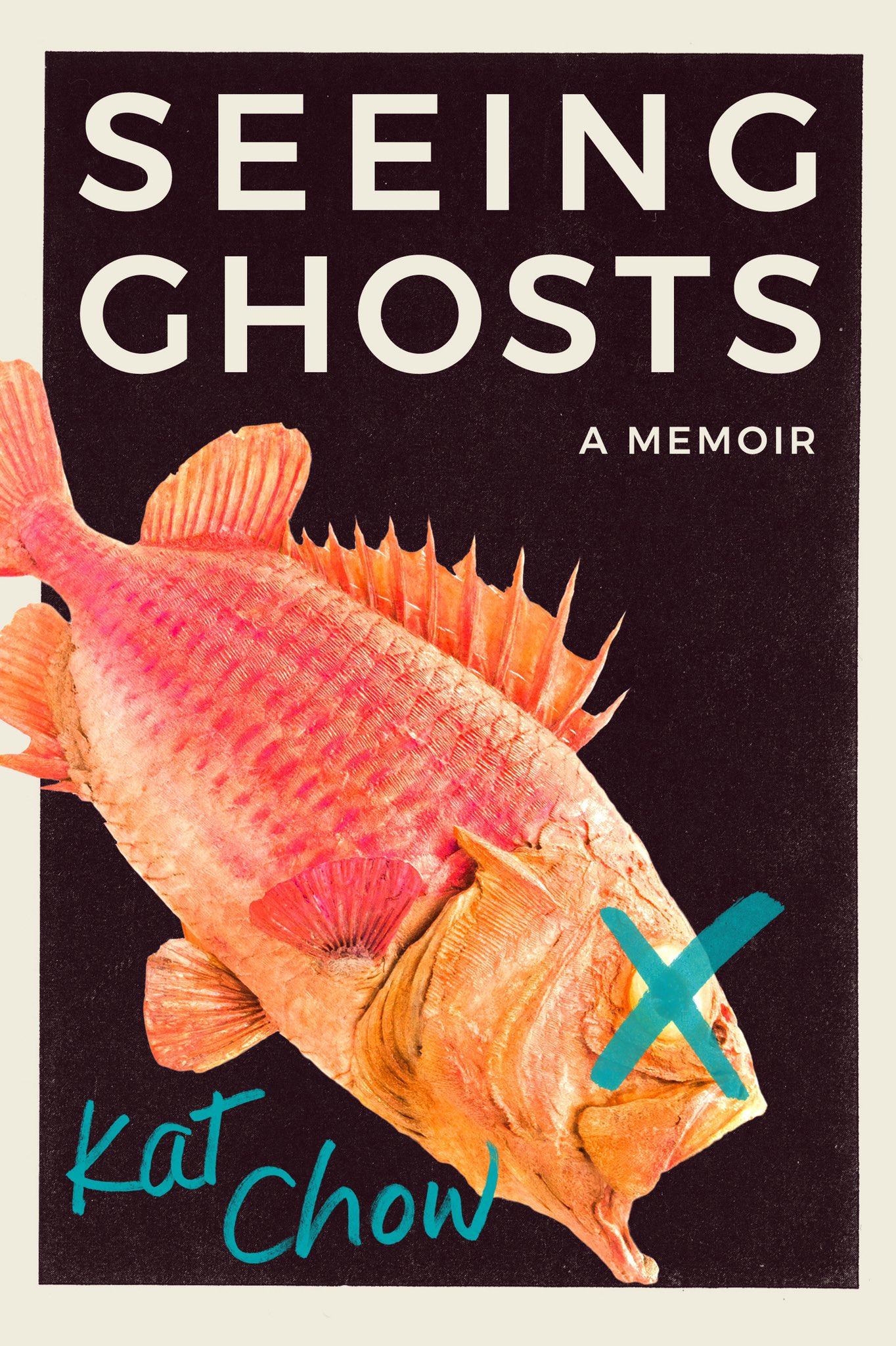 Seeing Ghosts
