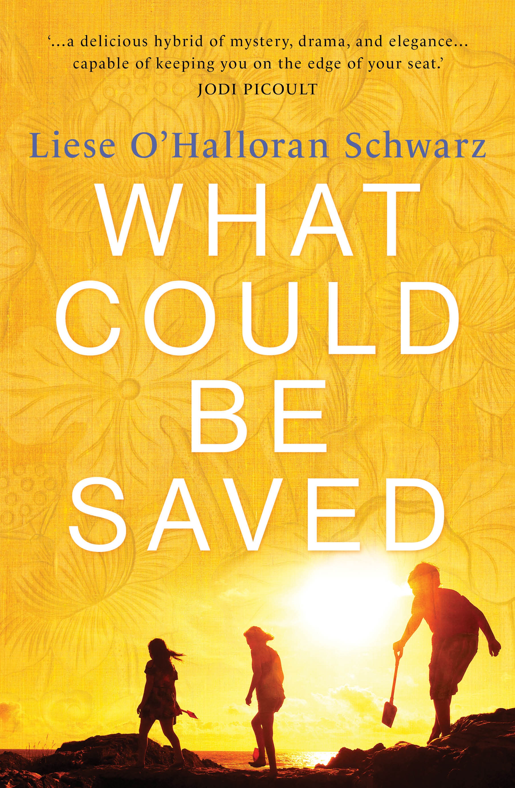 What Could Be Saved - Free PDF Download