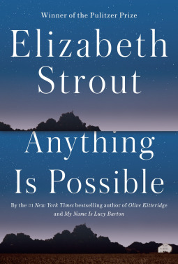 Anything Is Possible (Amgash #2)